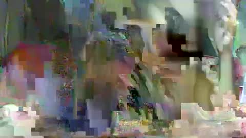 LadyXSnakes online show from February 23, 3:51 pm