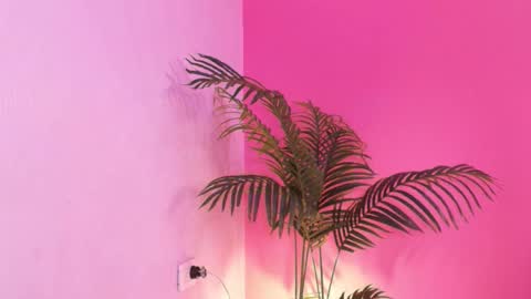 LANA online show from January 18, 2:59 am