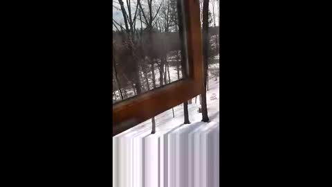 Snapshot of langederek2 chatting on March 19, 3:27 pm langederek2 online show from March 19, 3:27 pm