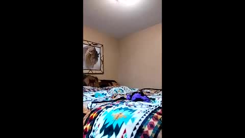 Snapshot of langederek2 chatting on March 26, 8:58 pm langederek2 online show from March 26, 8:58 pm