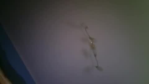 larry009 online show from December 15, 3:00 am