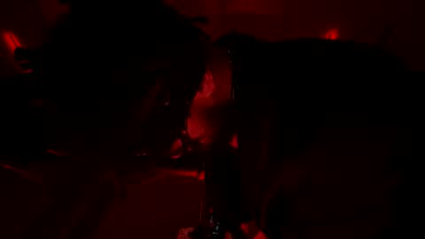 Snapshot of latex__buddy chatting on March 3, 10:43 am latex__buddy online show from March 3, 10:43 am