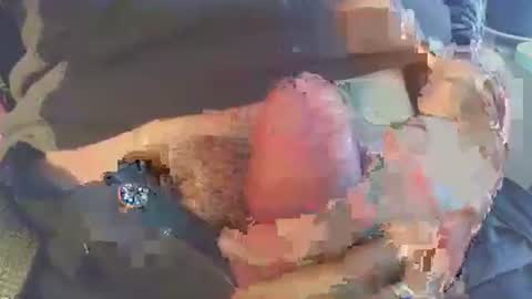 joseph online show from November 29, 8:39 am