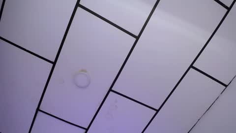 LAURA online show from January 18, 5:37 pm