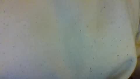 layannalea online show from February 13, 7:04 am