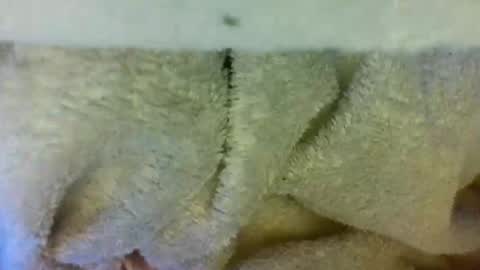 layannalea online show from April 9, 6:30 am