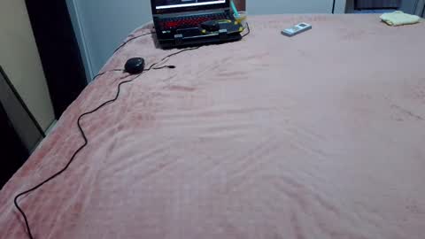 Snapshot of laylabrasil chatting on February 9, 9:39 pm kelly online show from February 9, 9:39 pm