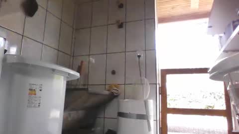 Snapshot of laylabrasil chatting on February 12, 4:22 pm kelly online show from February 12, 4:22 pm