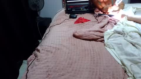 Snapshot of laylabrasil chatting on February 15, 4:25 am kelly online show from February 15, 4:25 am