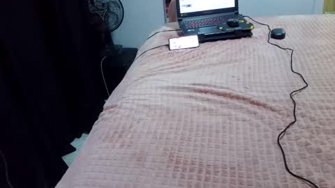 Snapshot of laylabrasil chatting on February 20, 2:40 am kelly online show from February 20, 2:40 am