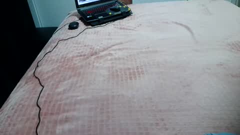 Snapshot of laylabrasil chatting on February 26, 1:21 am kelly online show from February 26, 1:21 am