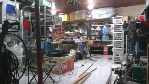 Snapshot of laylabrasil chatting on February 27, 7:58 pm kelly online show from February 27, 7:58 pm