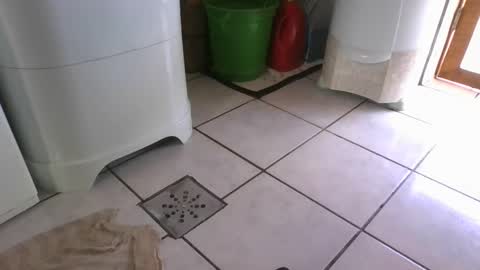 Snapshot of laylabrasil chatting on March 7, 6:22 pm kelly online show from March 7, 6:22 pm