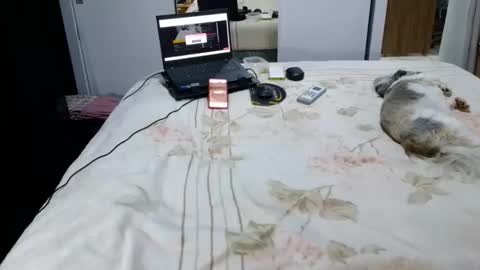 Snapshot of laylabrasil chatting on October 9, 4:54 am kelly online show from October 9, 4:54 am