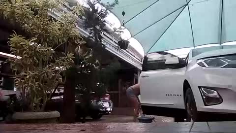 Snapshot of laylabrasil chatting on November 1, 7:27 pm kelly online show from November 1, 7:27 pm