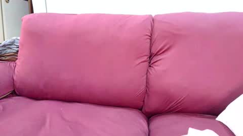 Snapshot of laylabrasil chatting on December 2, 4:57 pm kelly online show from December 2, 4:57 pm