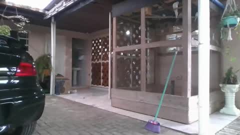 Snapshot of laylabrasil chatting on December 22, 8:28 pm kelly online show from December 22, 8:28 pm