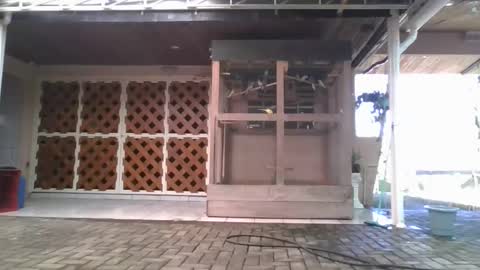 Snapshot of laylabrasil chatting on January 5, 6:22 pm kelly online show from January 5, 6:22 pm