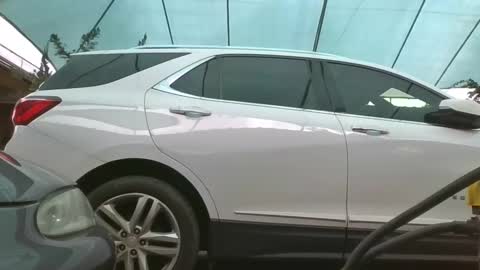 Snapshot of laylabrasil chatting on January 10, 6:53 pm kelly online show from January 10, 6:53 pm