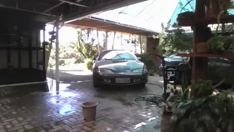 kelly online show from April 11, 5:28 pm