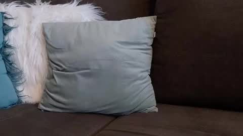 Snapshot of lazlow2000 chatting on January 7, 7:44 am lazlow2000 online show from January 7, 7:44 am