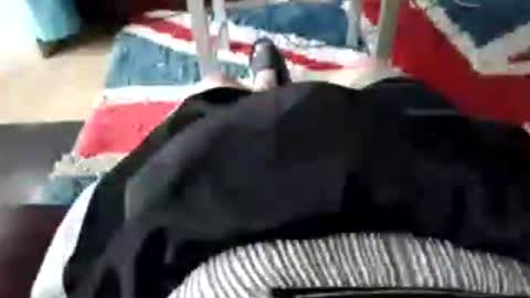 Snapshot of leatherpants68 chatting on July 17, 9:05 am leatherpants68 online show from July 17, 9:05 am