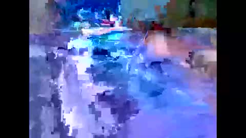 Snapshot of leemen33 chatting on December 4, 7:39 am Michael online show from December 4, 7:39 am