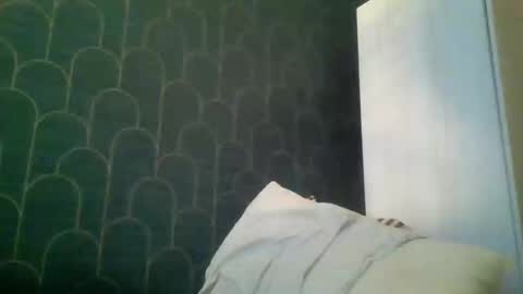 leeuwarder12 online show from November 20, 7:35 pm