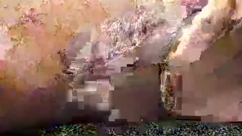 Snapshot of legofactory chatting on January 27, 4:52 am legofactory online show from January 27, 4:52 am