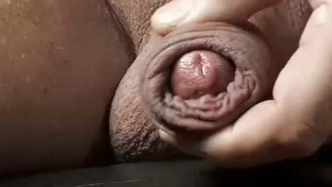 Snapshot of legofactory chatting on February 13, 4:54 am legofactory online show from February 13, 4:54 am