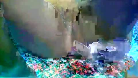 leilah_hope online show from February 16, 5:47 am