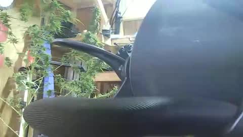 Snapshot of lenghtygirth chatting on September 9, 7:46 pm HoleStretcher online show from September 9, 7:46 pm