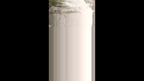 levis501bandant online show from January 15, 2:38 am