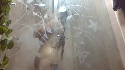 leyla_horny_bg online show from December 22, 9:56 pm