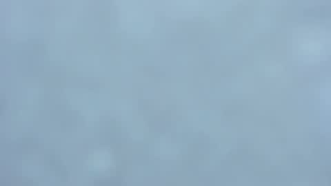 . online show from February 1, 3:52 am