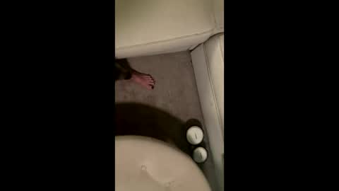 liamleggings online show from December 1, 2:38 am