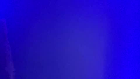 Snapshot of lickyouryoni chatting on January 1, 2:52 pm LickYourYoni online show from January 1, 2:52 pm