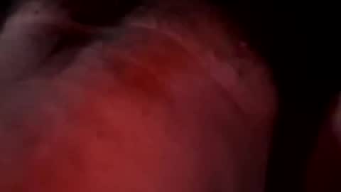 Liketoplay online show from March 20, 11:48 am