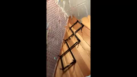 likewhatchasee online show from June 8, 4:46 am
