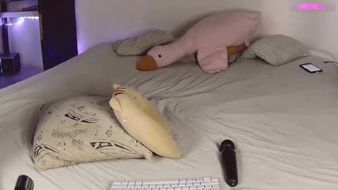 Nessa Greyrat   if u like me tip 25 tk and put  online show from February 18, 5:31 am