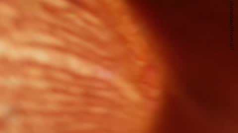 your love online show from November 24, 1:27 am