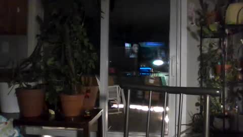 Lexy online show from November 9, 1:59 am