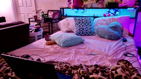 jasmine spunn online show from January 25, 9:26 am