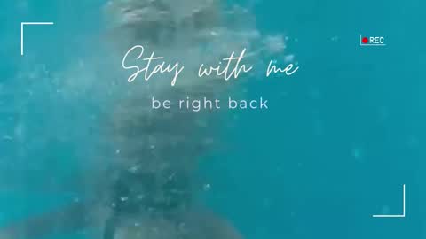 Lily online show from September 25, 5:33 am