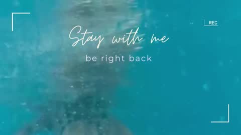 Lily online show from November 1, 6:15 am