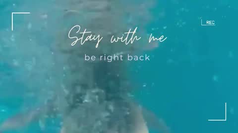 Snapshot of lily_foster_ chatting on February 18, 6:42 am Lily online show from February 18, 6:42 am