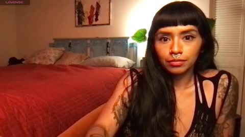 Little Lily online show from November 5, 5:29 am