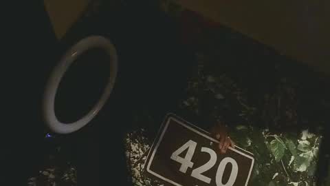 Snapshot of lilybvixen chatting on February 25, 4:55 am lilybvixen online show from February 25, 4:55 am