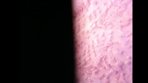 lilycelest online show from May 13, 6:44 am