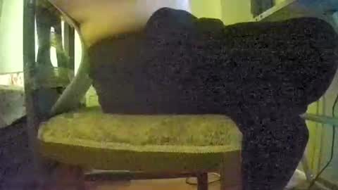 Snapshot of lilylovelyman50 chatting on June 22, 12:02 pm lilylovelyman50 online show from June 22, 12:02 pm